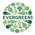 Evergreen Salads